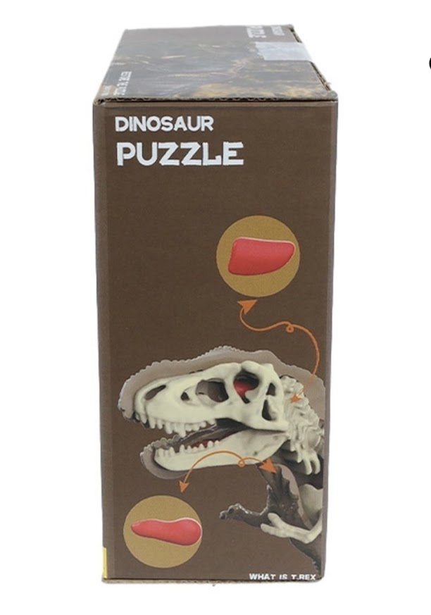 DIY 3D T-Rex Anatomy Puzzle
