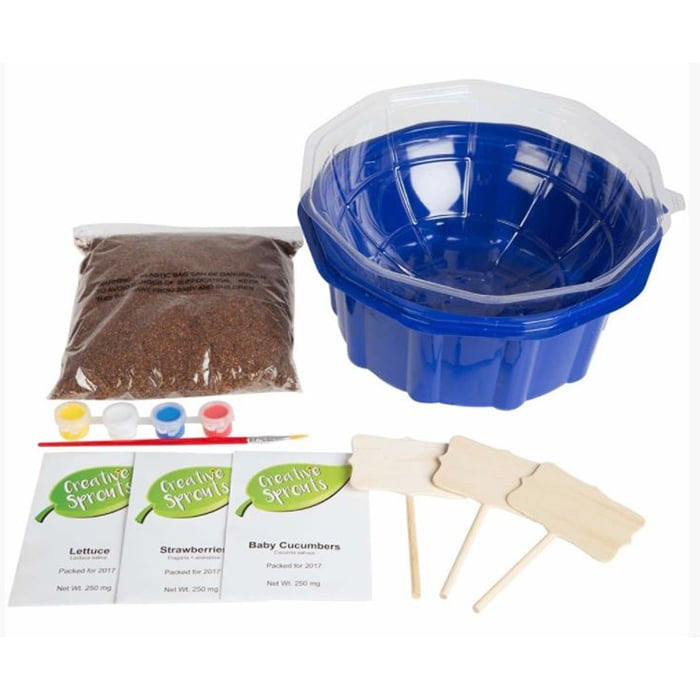 Creative Sprouts Farmers Garden Grow & Decorate