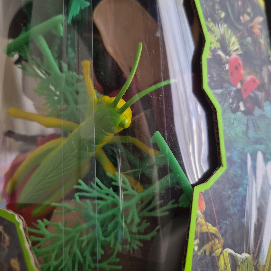 Jar of Giant Insects