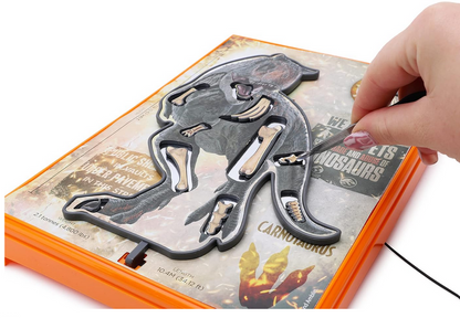 Dinosaur Operation Game