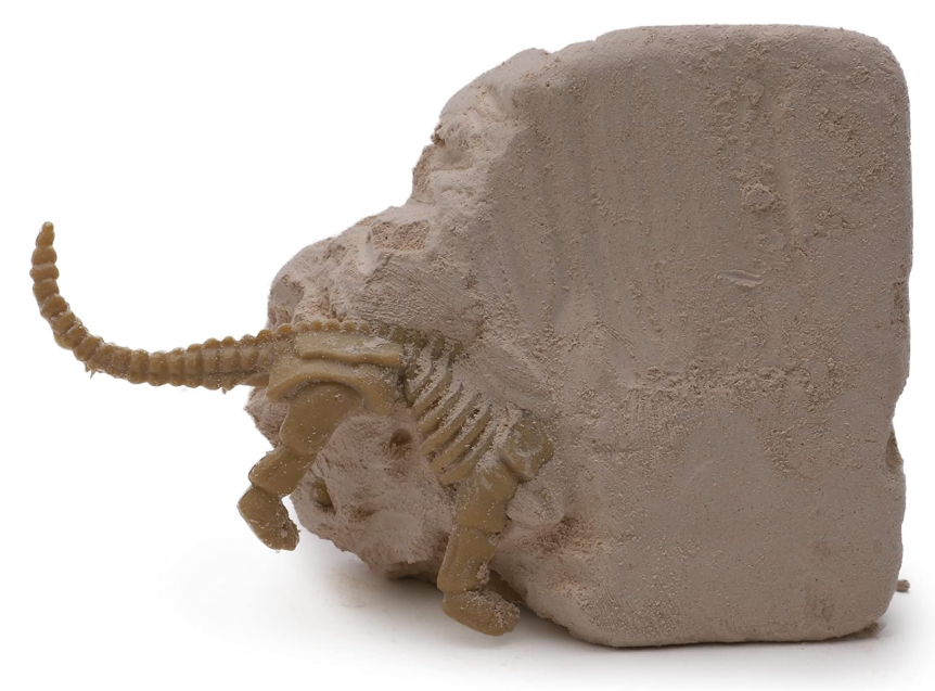 Jurassic Era Dinosaur Fossil Digging Kit