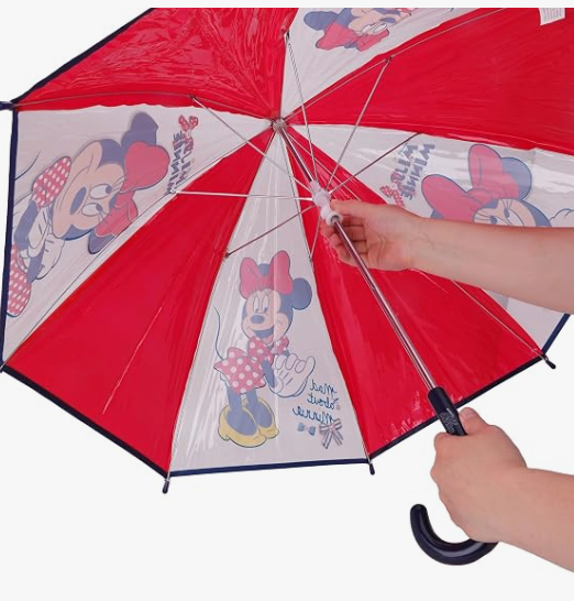 Disney Umbrella