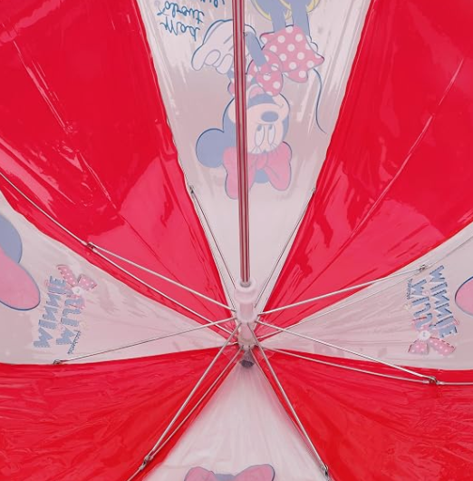 Disney Umbrella