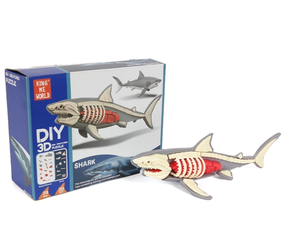DIY 3D Shark Anatomy Puzzle