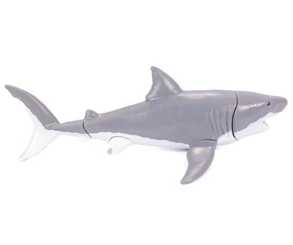 DIY 3D Shark Anatomy Puzzle