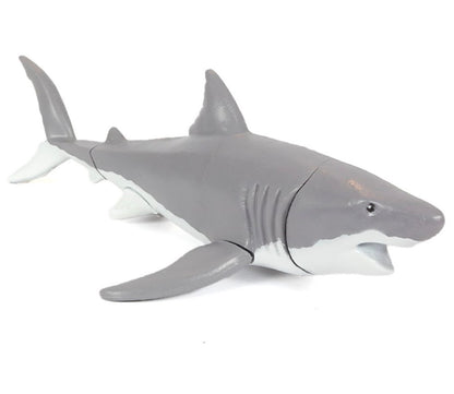 DIY 3D Shark Anatomy Puzzle
