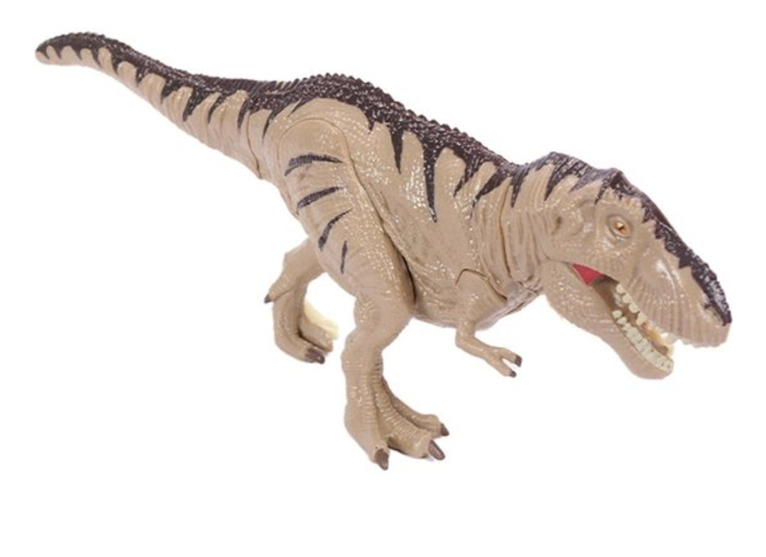 DIY 3D T-Rex Anatomy Puzzle