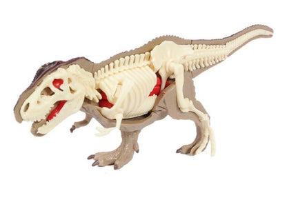 DIY 3D T-Rex Anatomy Puzzle