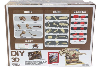 DIY 3D T-Rex Anatomy Puzzle