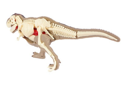 DIY 3D T-Rex Anatomy Puzzle