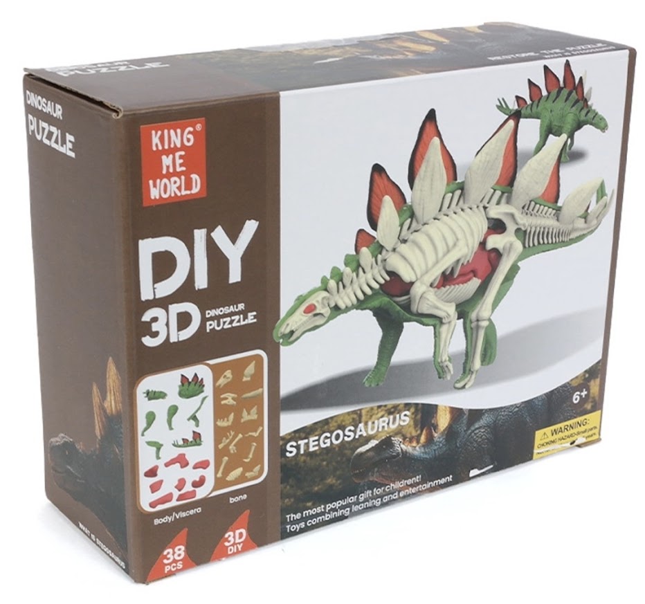 DIY 3D Stegosaurus Anatomy Puzzle