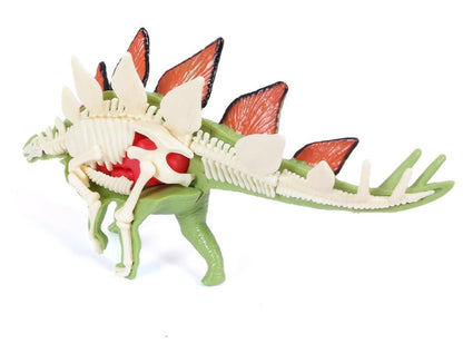 DIY 3D Stegosaurus Anatomy Puzzle