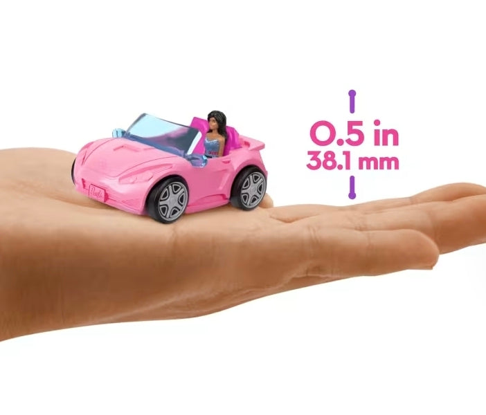 Mini Barbie Land