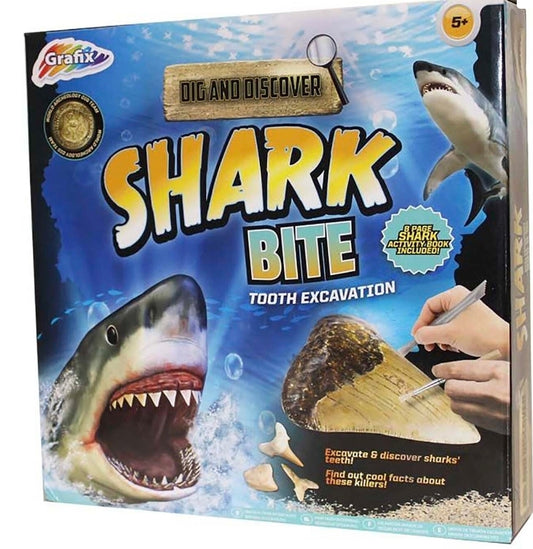 Shark Bite Tooth Excavation