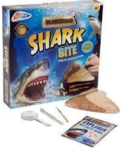 Shark Bite Tooth Excavation