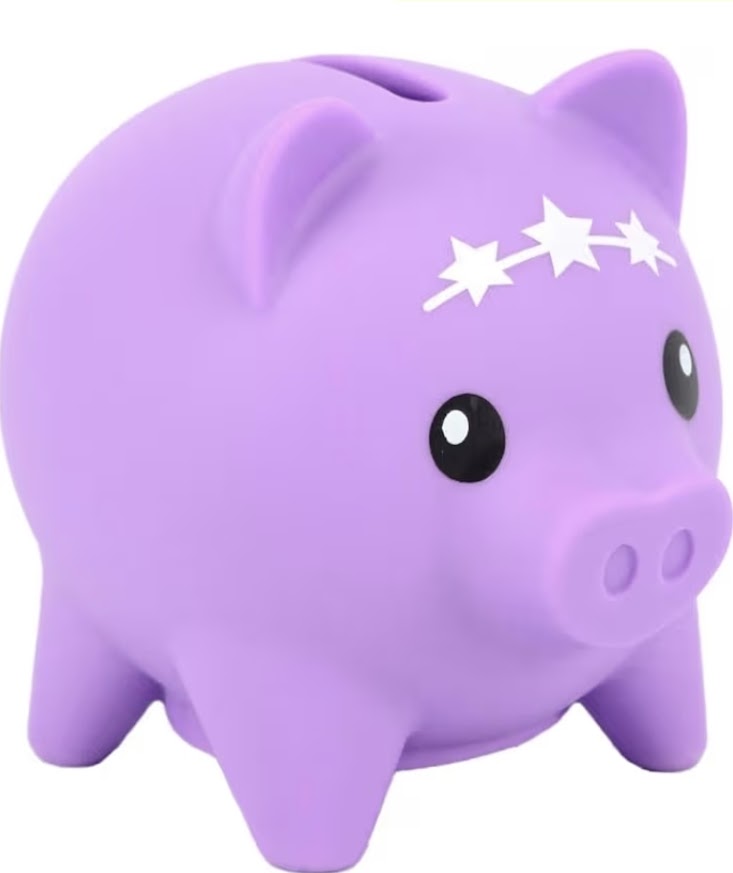Pocket Money Piggies