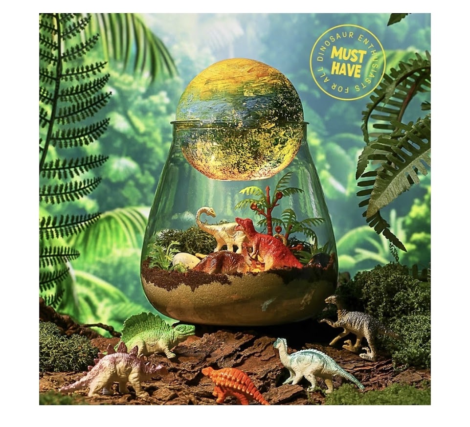 Dinosaur Terrarium Craft Kit With DIY Moon Lamp