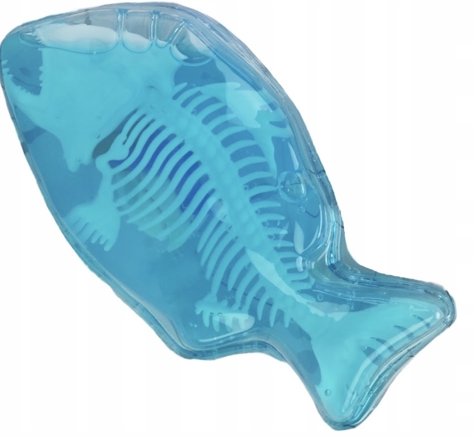 Smart Lab | Realistic Anatomical Model Fish