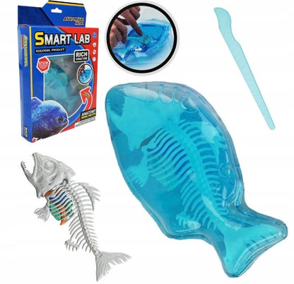 Smart Lab | Realistic Anatomical Model Fish