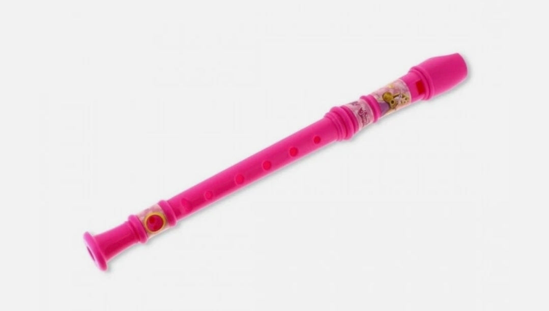 Disney Princess | Recorder & Stickers