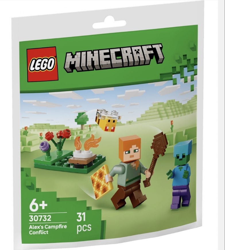 Lego | Minecraft Alex's Campfire Conflict