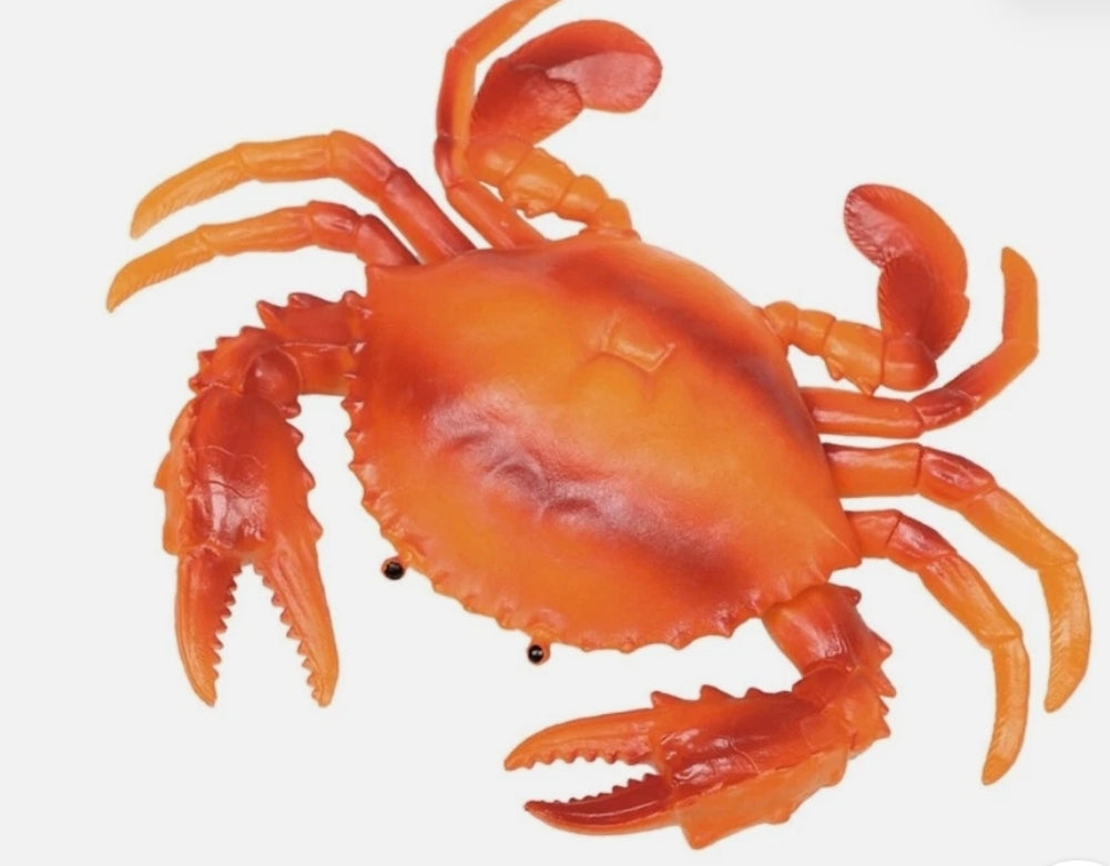 Squeezy Squishy Crab