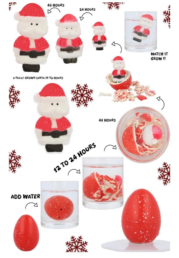 Christmas Santa Hatching Egg – Water-Activated Growing Toy