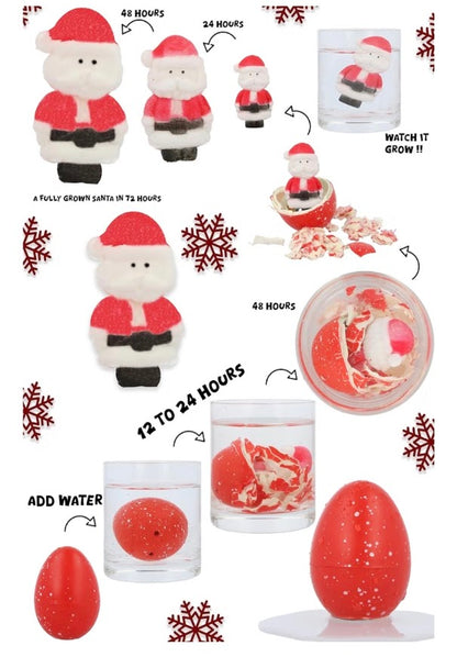 Christmas Santa Hatching Egg – Water-Activated Growing Toy