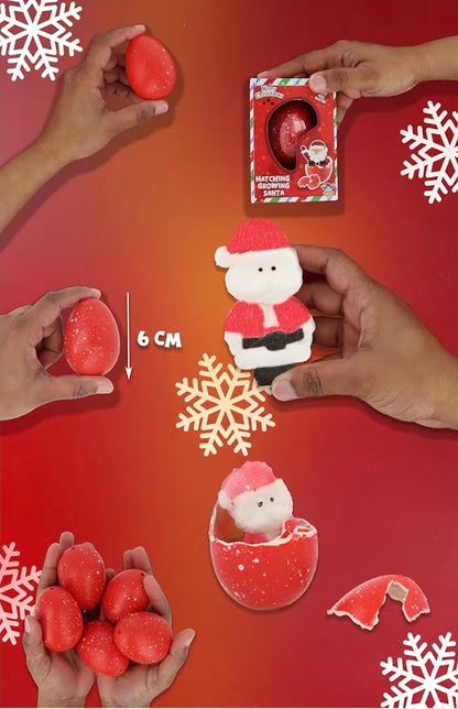 Christmas Santa Hatching Egg – Water-Activated Growing Toy